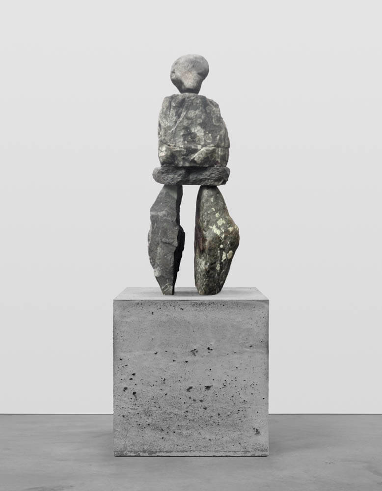 the alarmed | UGO RONDINONE