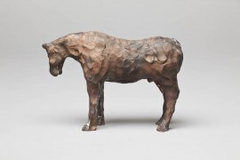 the meteor | UGO RONDINONE