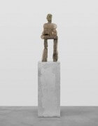 the liberated | UGO RONDINONE