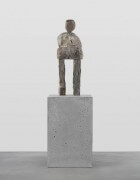 the intrigued | UGO RONDINONE