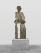 the reserved | UGO RONDINONE