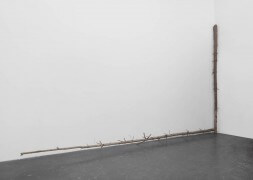 still.life. (log standing in a corner) | UGO RONDINONE