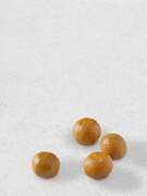 still.life. (four tangerines) | UGO RONDINONE