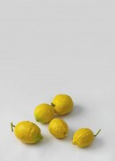 still.life. (five lemons) | UGO RONDINONE