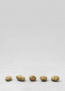 still.life. (five small potatoes in a line) | UGO RONDINONE