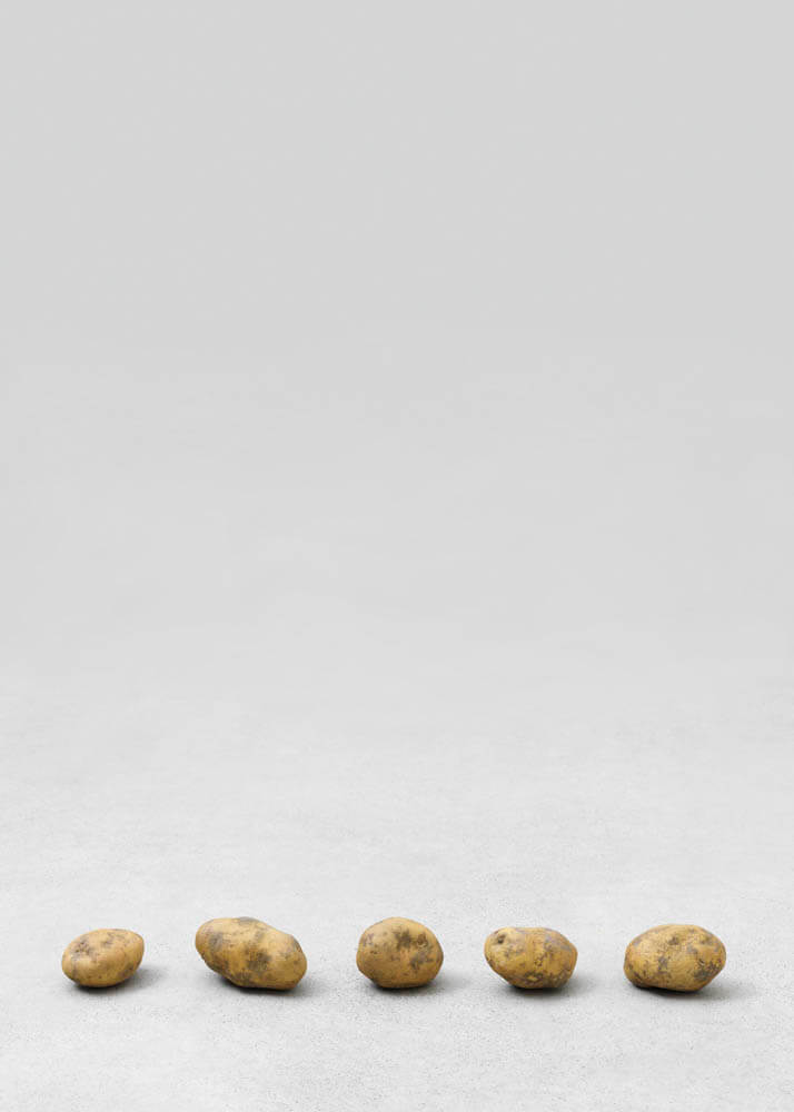 still.life. (five small potatoes in a line) | UGO RONDINONE