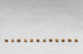 still.life. (twelve walnuts in a line); 12 parts | UGO RONDINONE