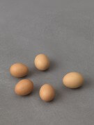 still.life (five eggs) | UGO RONDINONE