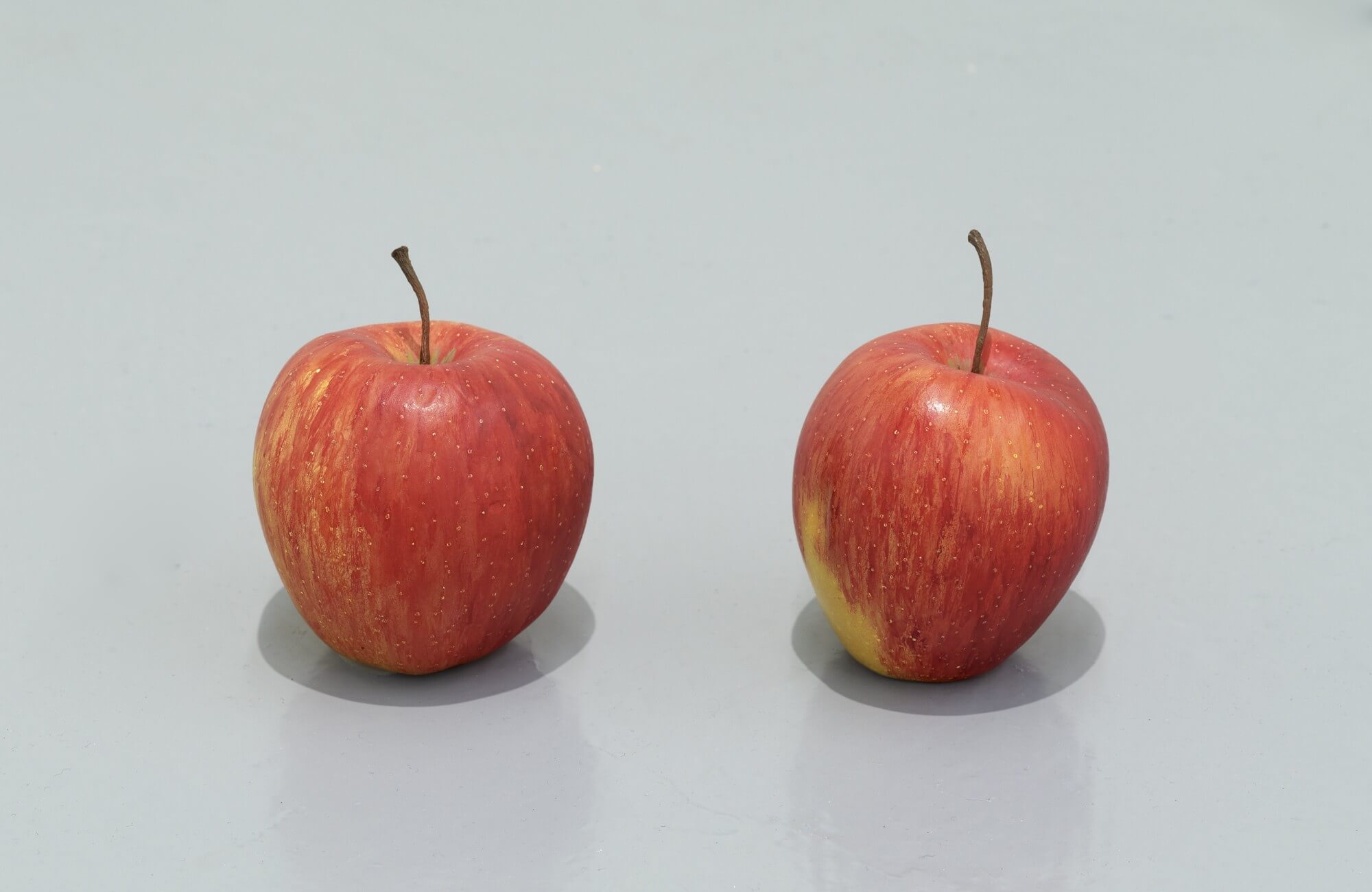 still.life. (two apples) | UGO RONDINONE