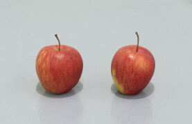 still.life. (two apples) | UGO RONDINONE