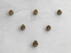 still.life. (six pine cones in a triangle) | UGO RONDINONE