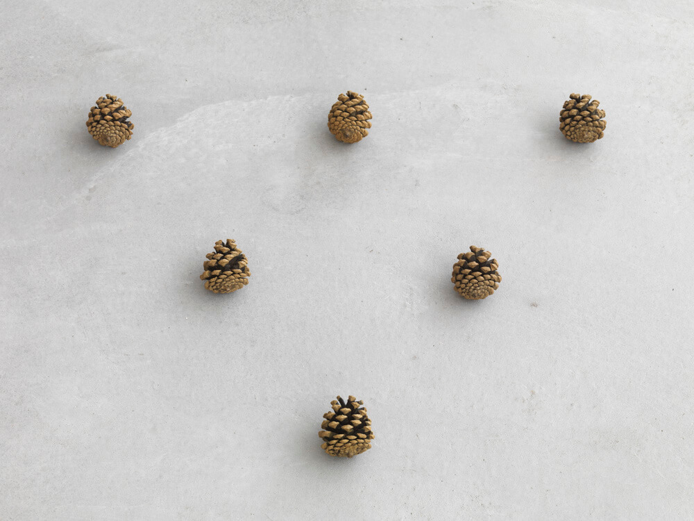 still.life. (six pine cones in a triangle) | UGO RONDINONE