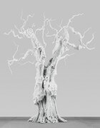 snow moon | UGO RONDINONE