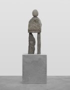 the shrewd | UGO RONDINONE