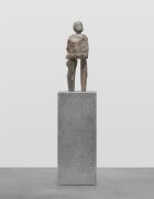 the patient | UGO RONDINONE